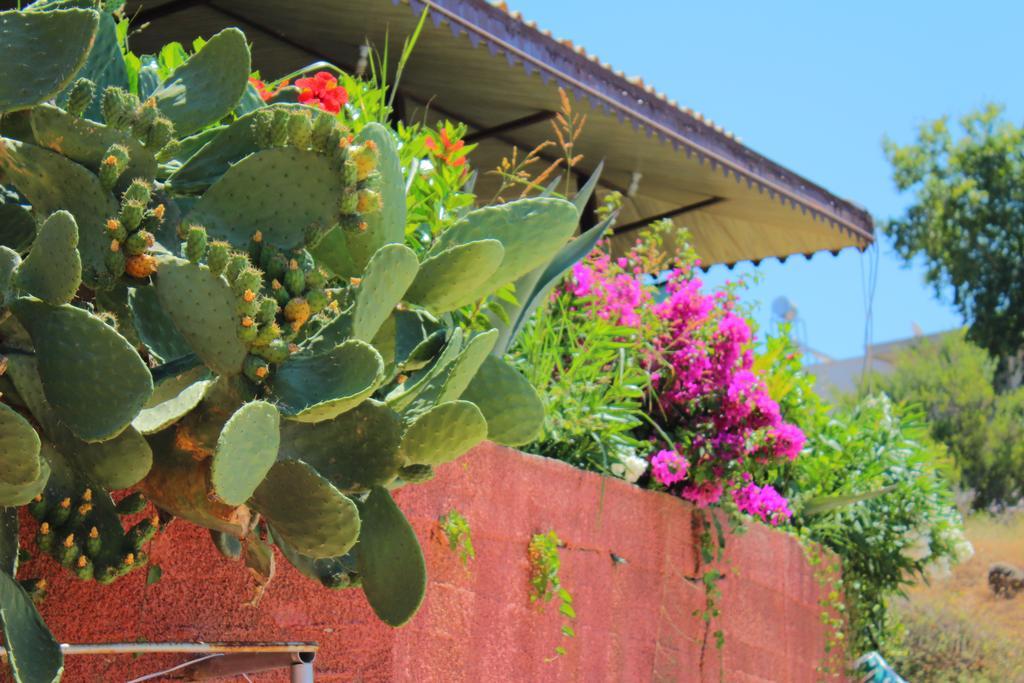 Hotel Schoenberg Kızılot Bagian luar foto