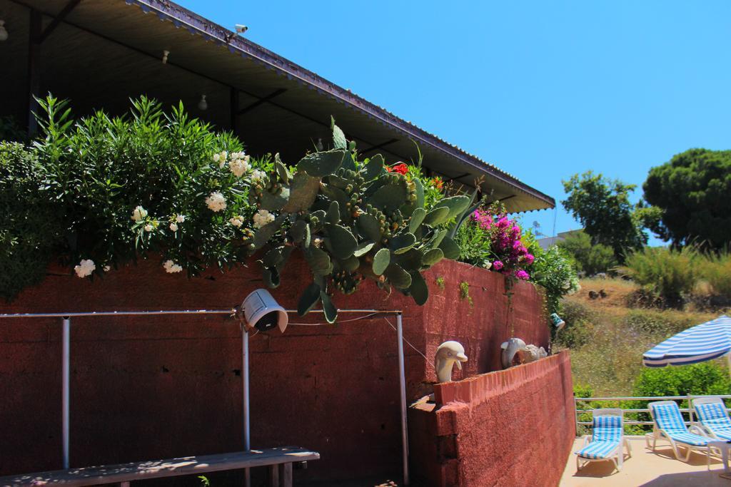 Hotel Schoenberg Kızılot Bagian luar foto