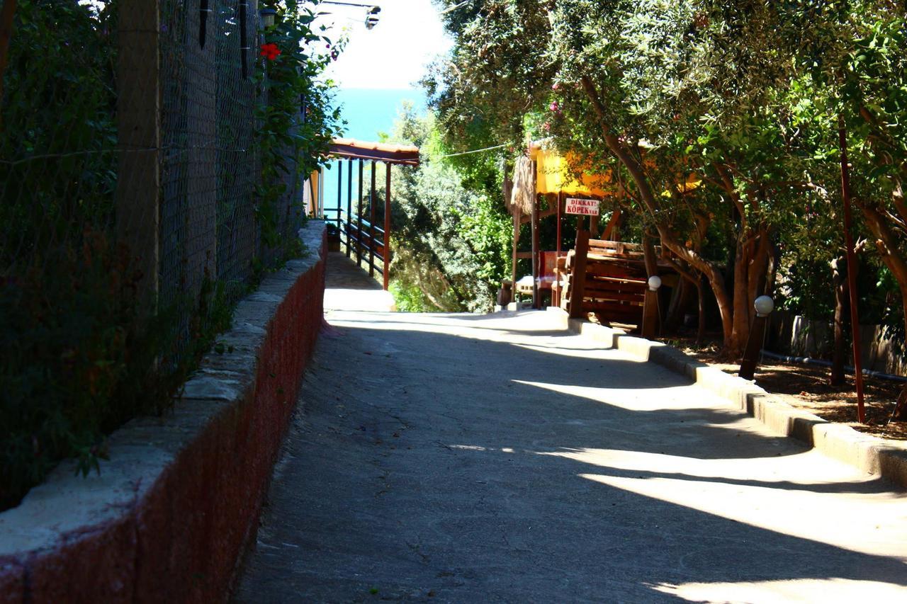 Hotel Schoenberg Kızılot Bagian luar foto